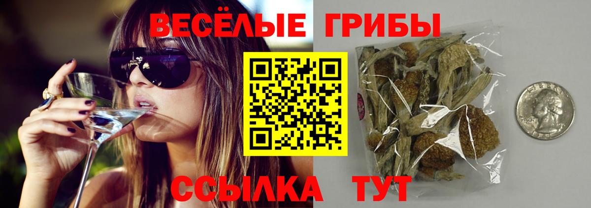Псилоцибиновые грибы мухоморы Рассказово